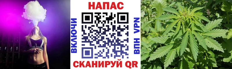закладки  Шатура  Конопля сатива 